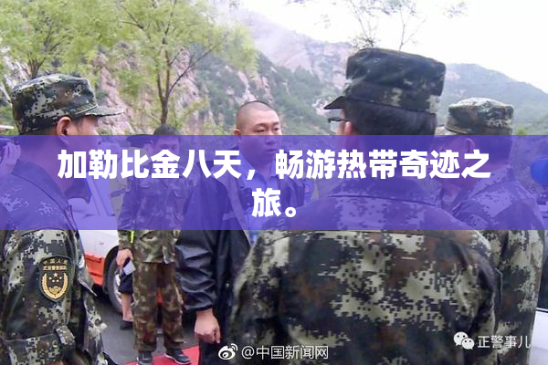 加勒比金八天，畅游热带奇迹之旅。