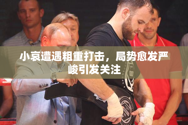 小哀遭遇粗重打击，局势愈发严峻引发关注
