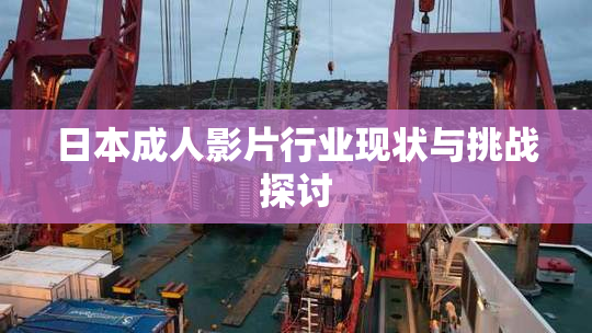日本成人影片行业现状与挑战探讨