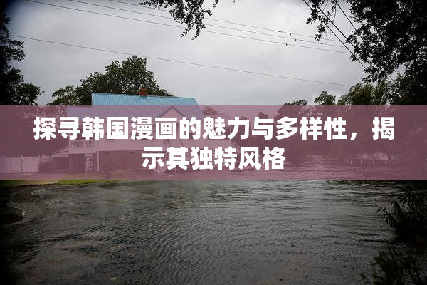 探寻韩国漫画的魅力与多样性，揭示其独特风格