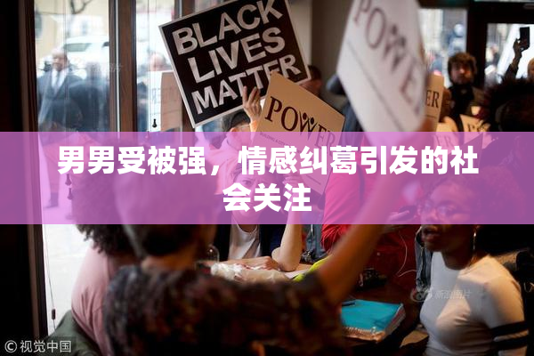 男男受被强，情感纠葛引发的社会关注