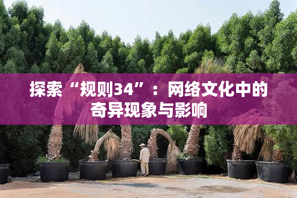 探索“规则34”：网络文化中的奇异现象与影响
