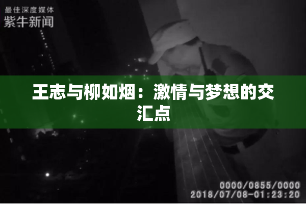 王志与柳如烟：激情与梦想的交汇点