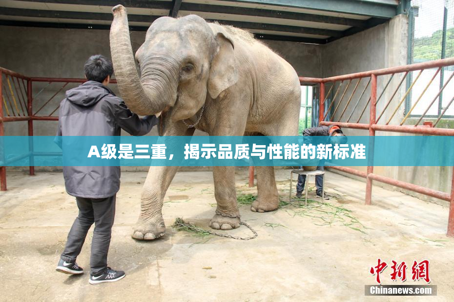A级是三重，揭示品质与性能的新标准