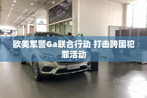 欧美军警Ga联合行动 打击跨国犯罪活动