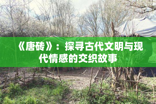《唐砖》：探寻古代文明与现代情感的交织故事