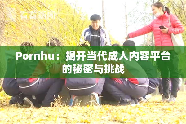 Pornhu：揭开当代成人内容平台的秘密与挑战