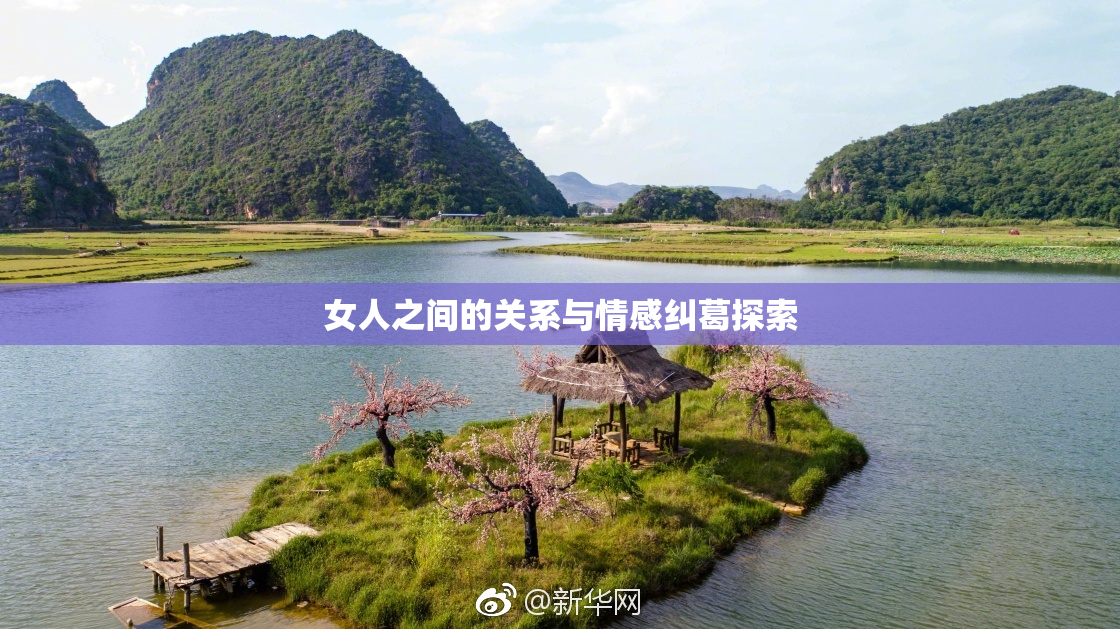 女人之间的关系与情感纠葛探索