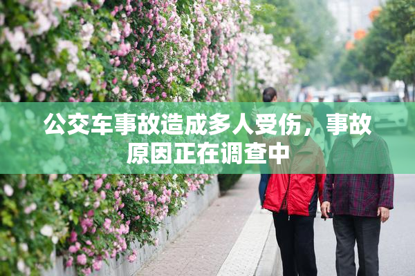 公交车事故造成多人受伤，事故原因正在调查中