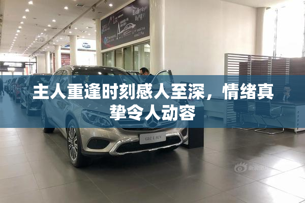 主人重逢时刻感人至深，情绪真挚令人动容