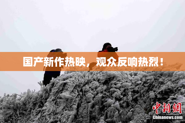 国产新作热映，观众反响热烈！