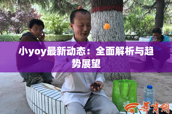 小yoy最新动态：全面解析与趋势展望