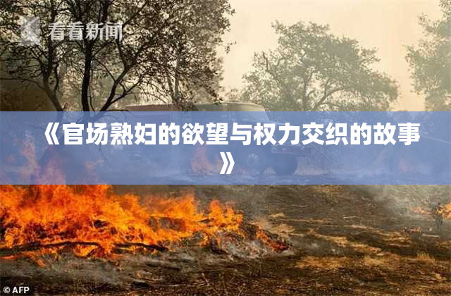《官场熟妇的欲望与权力交织的故事》