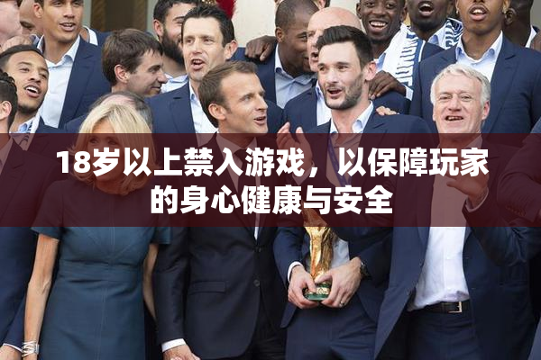 18岁以上禁入游戏，以保障玩家的身心健康与安全