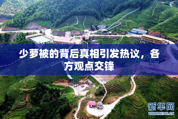 少萝被的背后真相引发热议，各方观点交锋