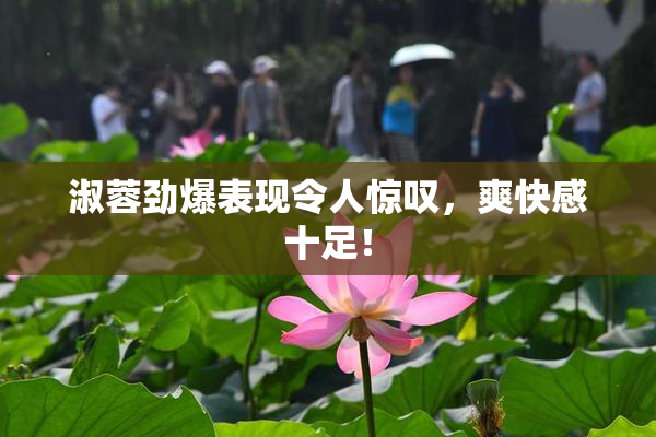 淑蓉劲爆表现令人惊叹，爽快感十足！