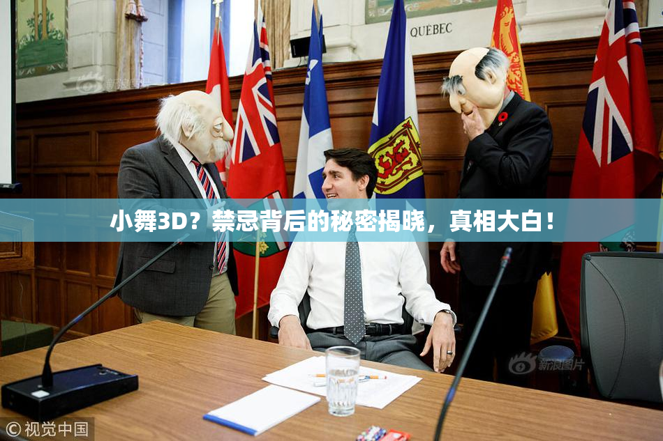 小舞3D？禁忌背后的秘密揭晓，真相大白！