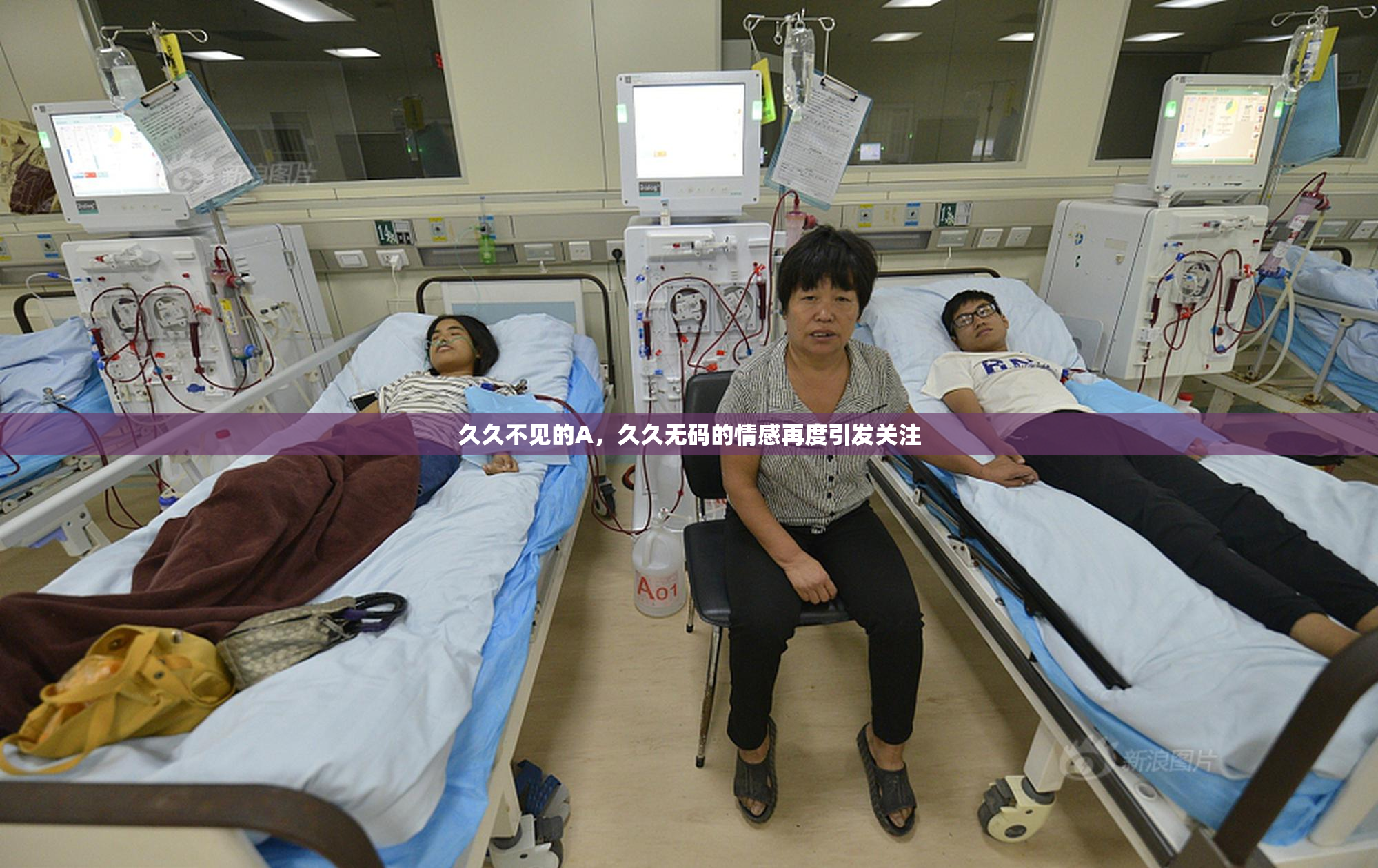 久久不见的A，久久无码的情感再度引发关注
