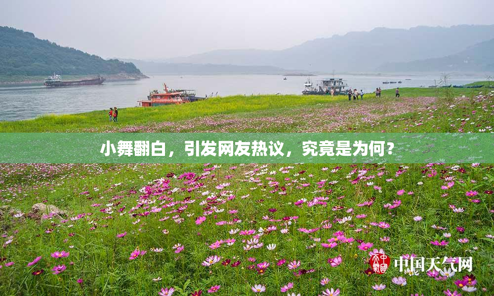 小舞翻白，引发网友热议，究竟是为何？
