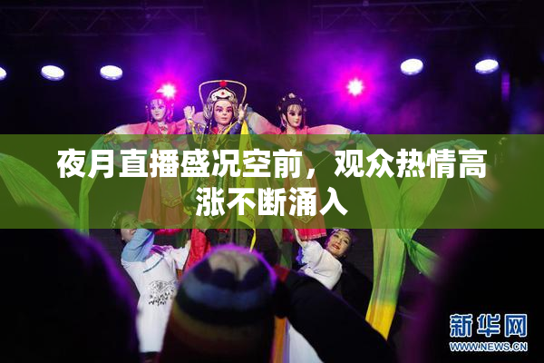 夜月直播盛况空前，观众热情高涨不断涌入
