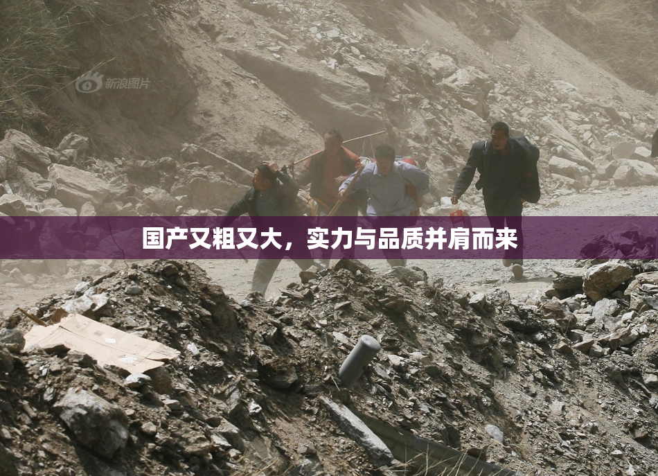 国产又粗又大，实力与品质并肩而来
