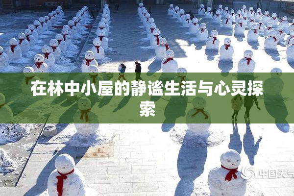 在林中小屋的静谧生活与心灵探索
