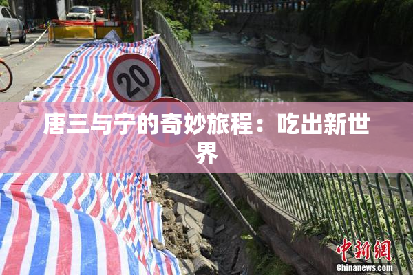 唐三与宁的奇妙旅程：吃出新世界