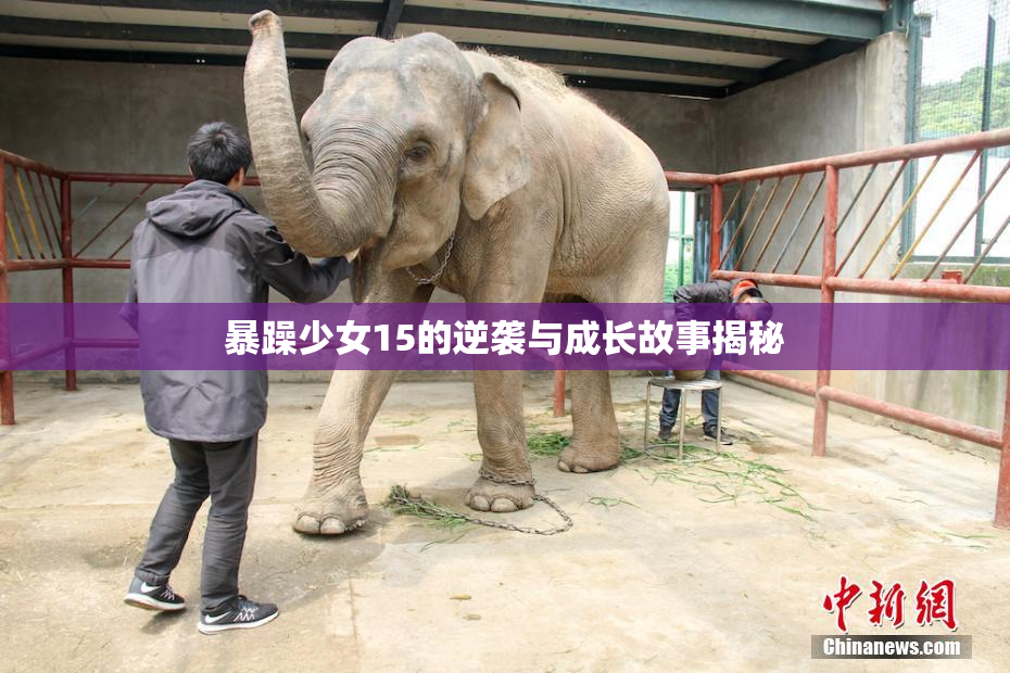 暴躁少女15的逆袭与成长故事揭秘
