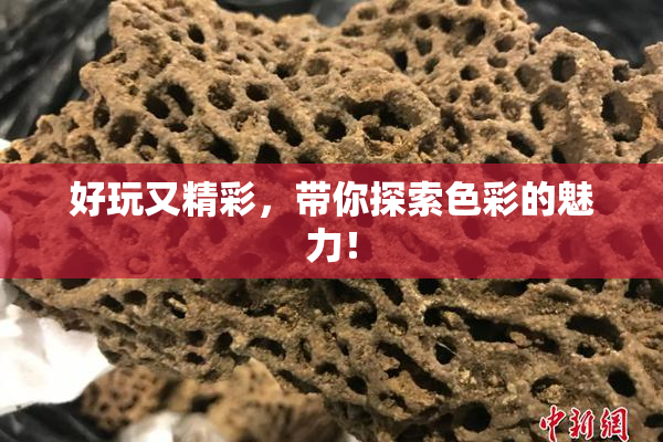 好玩又精彩，带你探索色彩的魅力！