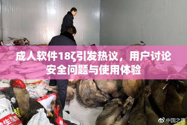 成人软件18ζ引发热议，用户讨论安全问题与使用体验