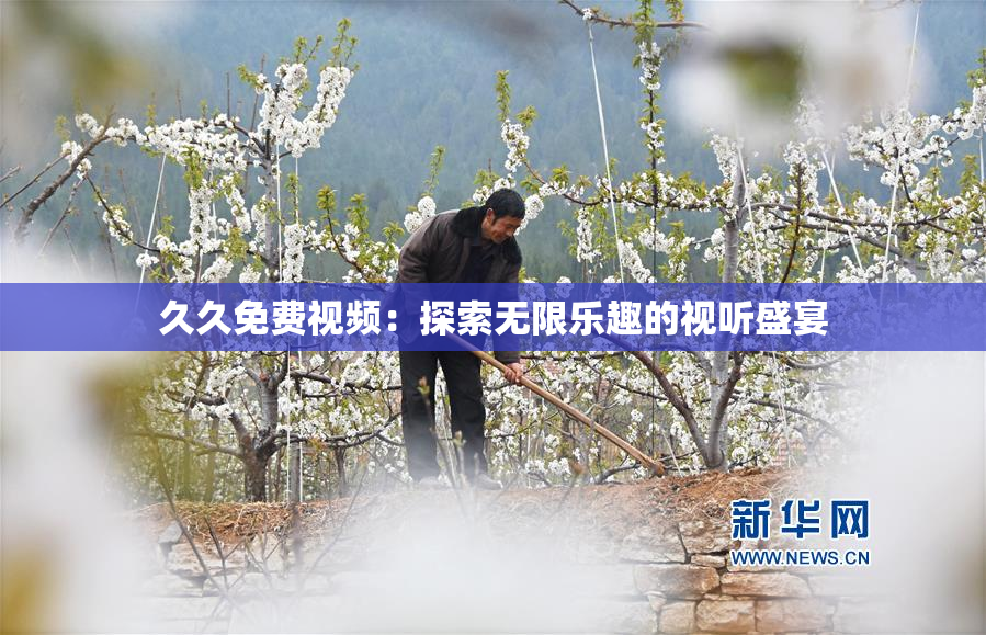 久久免费视频：探索无限乐趣的视听盛宴