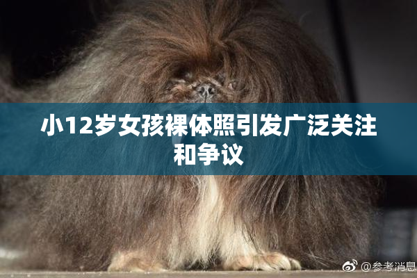 小12岁女孩裸体照引发广泛关注和争议