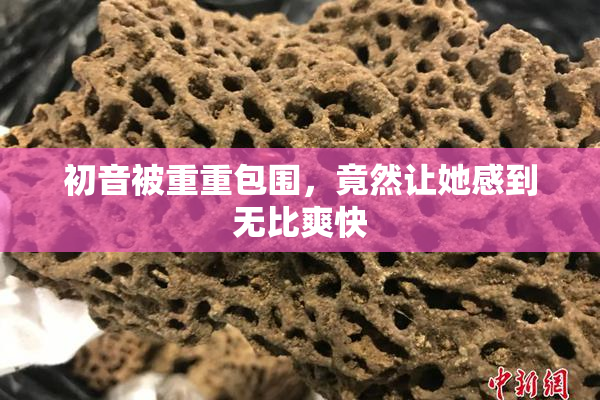 初音被重重包围，竟然让她感到无比爽快