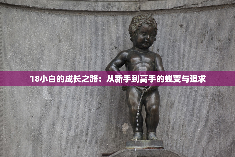 18小白的成长之路：从新手到高手的蜕变与追求