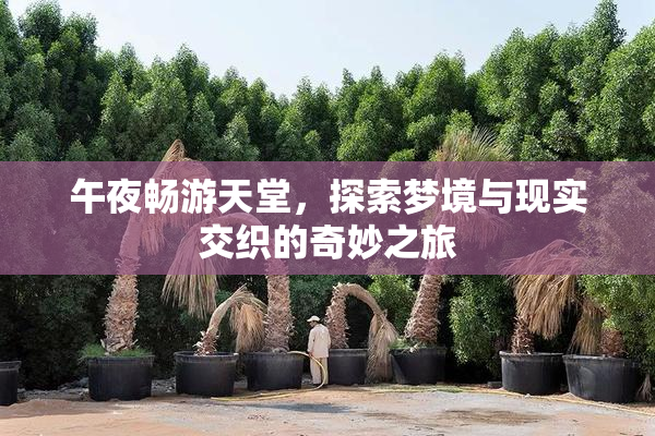 午夜畅游天堂，探索梦境与现实交织的奇妙之旅
