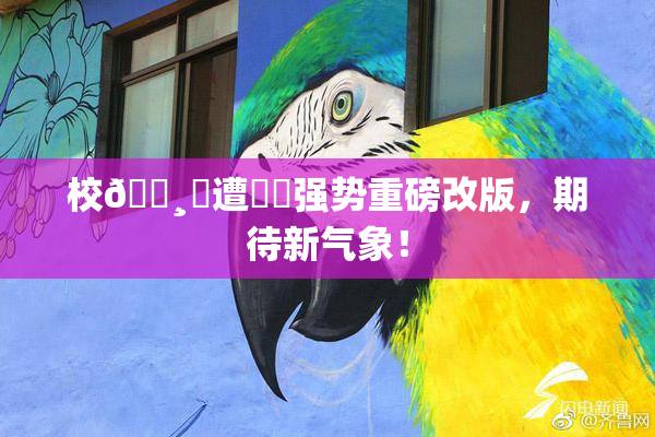 校🌸‌遭❌‌强势重磅改版，期待新气象！