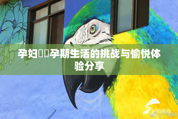 孕妇乂乄孕期生活的挑战与愉悦体验分享