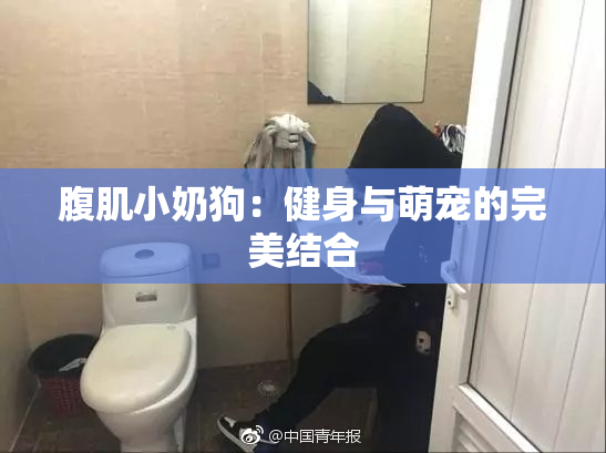 腹肌小奶狗：健身与萌宠的完美结合
