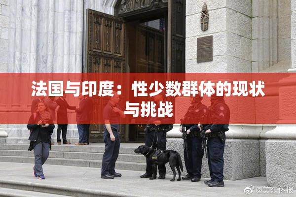 法国与印度：性少数群体的现状与挑战