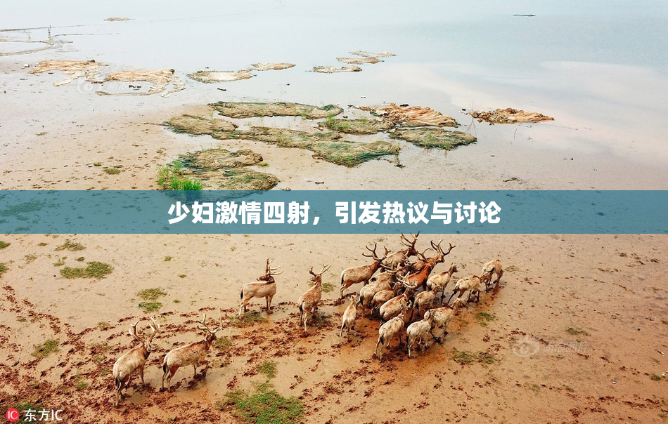少妇激情四射，引发热议与讨论