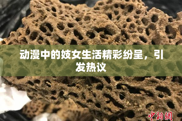 动漫中的妓女生活精彩纷呈，引发热议