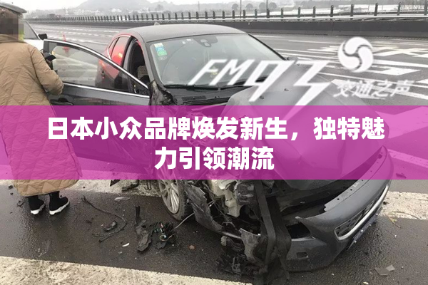 日本小众品牌焕发新生，独特魅力引领潮流