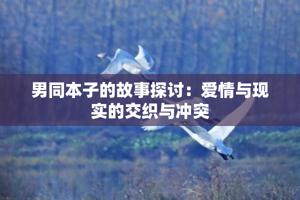 男同本子的故事探讨：爱情与现实的交织与冲突