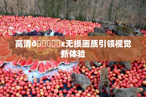 高清🔞❌‌ε无损画质引领视觉新体验