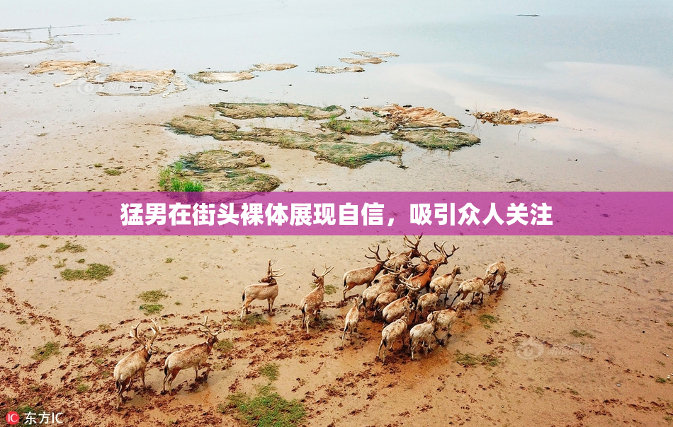 猛男在街头裸体展现自信，吸引众人关注