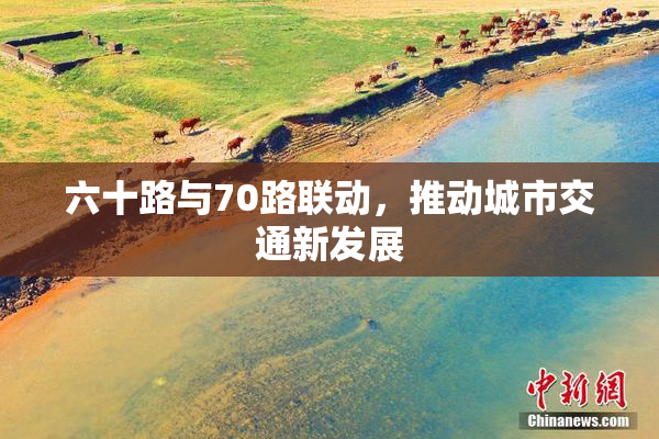 六十路与70路联动，推动城市交通新发展