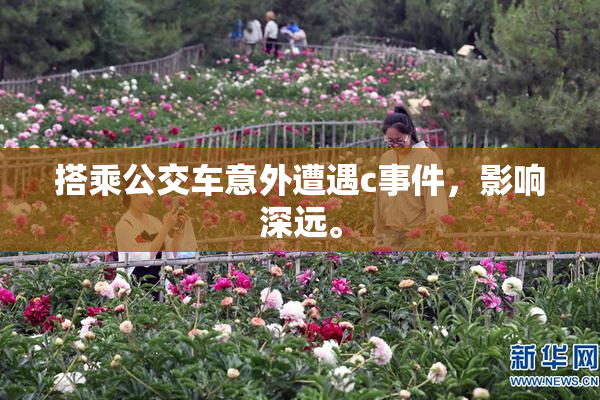 搭乘公交车意外遭遇c事件，影响深远。