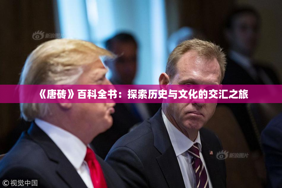 《唐砖》百科全书：探索历史与文化的交汇之旅