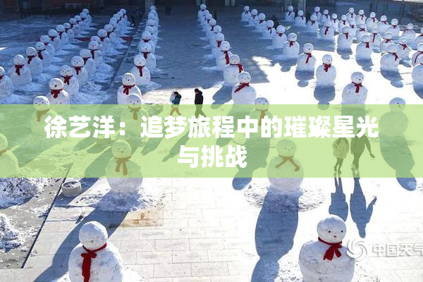 徐艺洋：追梦旅程中的璀璨星光与挑战