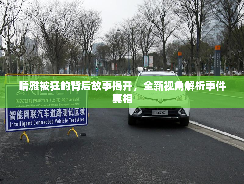 晴雅被狂的背后故事揭开，全新视角解析事件真相